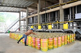 Chemical boost powers growth at Nghi Sơn