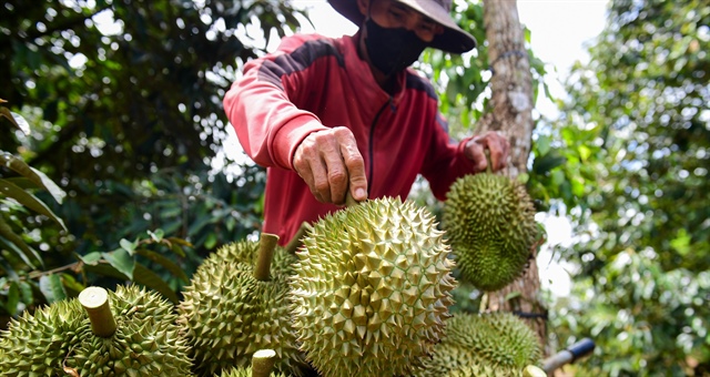 Trung Quốc áp chuẩn mới: Hàng Việt bị cảnh báo, hàng Thái buộc ‘hồi hương'