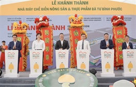 New cashew, agro-food processing factory opens in Đồng Nai