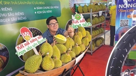 Vietnamese farm producers embrace e-commerce models