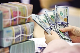 Fed rate cut offers Vietnam room to stabilise currency and economy
