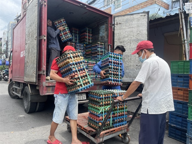 Việt Nam dự kiến nhập gần 1 triệu trứng gia cầm trong năm tới ảnh 1