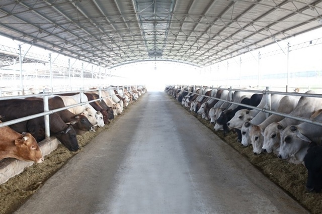 Hoa Phat Agriculture seeds new growth with IPO launch