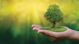 ESG: the new passport for manufacturers