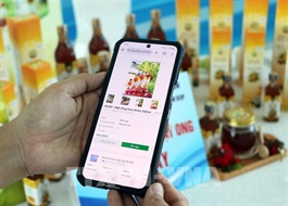Vĩnh Long aims to lead Mekong Delta in e-commerce development