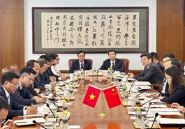 Việt Nam, China push forward railway cooperation projects