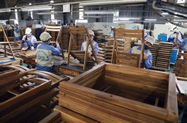 Vietnamese exporters brace for Turkish trade twists
