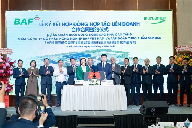 BAF ký hợp tác liên doanh với Muyuan làm dự án 'chung cư nuôi heo'