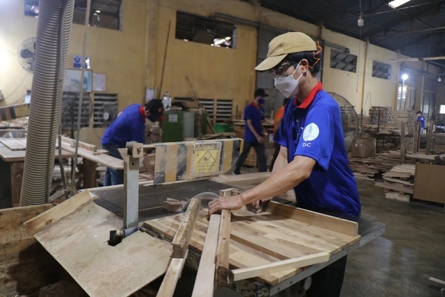 Gỗ Thuận An ước lãi trước thuế 9 tháng đầu năm đi lùi 27%