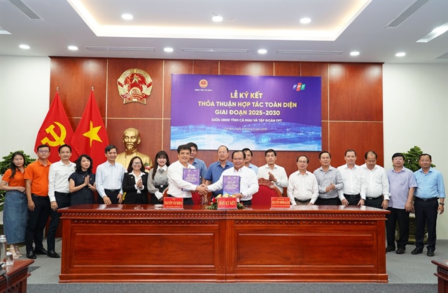 Digital transition powers Ca Mau to sustainability