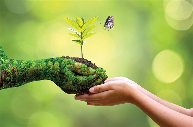 From compliance to strategy: ESG criteria gaining ground