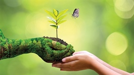 From compliance to strategy: ESG criteria gaining ground