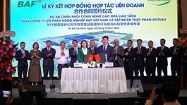 Việt Nam, China firms partner to supply 1.6 million pigs to southern market