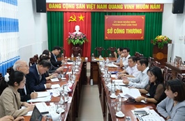 Korean companies eye fruit juice, biofuel plants in Cần Thơ
