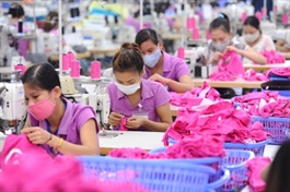 Putting SMEs in industrial parks offers competitive advantages