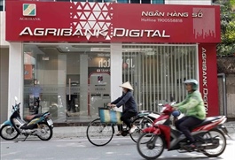 Experts call for digital bank dedicated to SMEs in Việt Nam