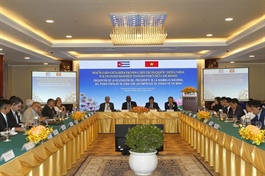 Cuba invites Vietnamese firms to invest