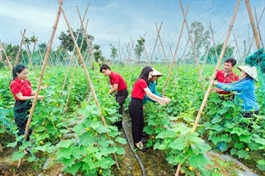 Government offers incentives to spur green, circular economy projects