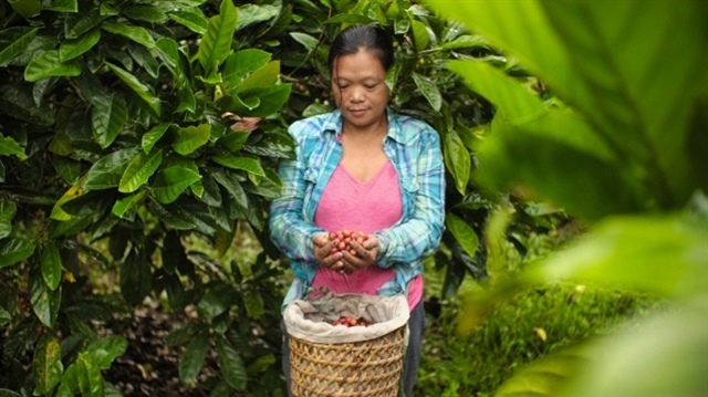 JICA, ECOM boost sustainable coffee farming