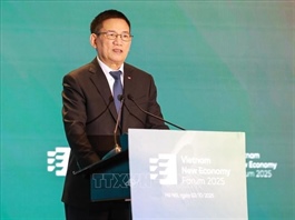 Việt Nam global role, growth renewal in spotlight at VNEF 2025
