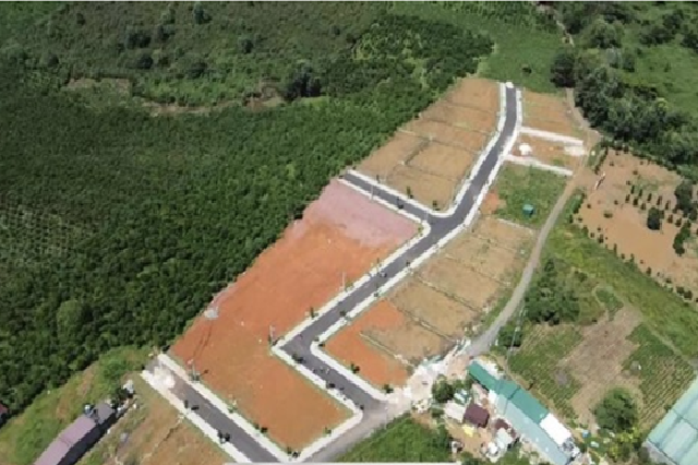 Không có dự án Sam Hills Bảo Lộc của Sam Group ở Lâm Đồng