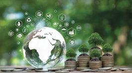 Green finance tapped into via carbon arena