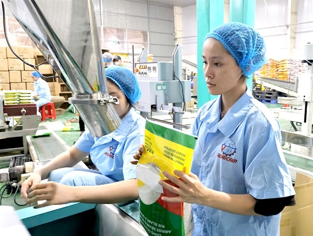 Rice sector stocks struggle with short-term challenges