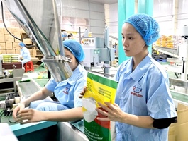 Rice sector stocks struggle with short-term challenges
