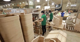 Việt Nam’s wood exporters advised to navigate pressures as new tariffs come into effect