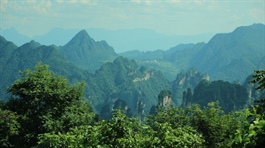 Vietnam can exploit potential from carbon market
