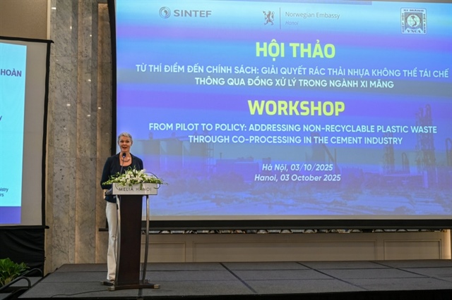 Vietnam explores co-processing in cement as a scalable solution