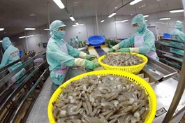 Seafood export fetch $8.3 billion in the first nine months