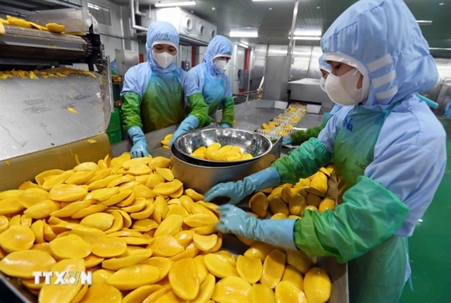 US website highlights Việt Nam’s impressive economic growth