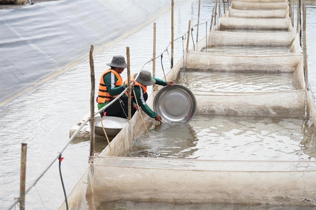 GREENFEED brings Vietnamese aquaculture to global markets (PR)