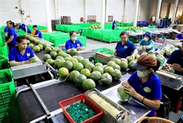 Product origin management adds value to Vietnamese products