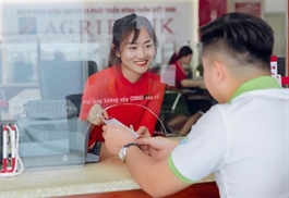 HCM City’s credit growth rises 9 per cent as it boosts business support in year-end season