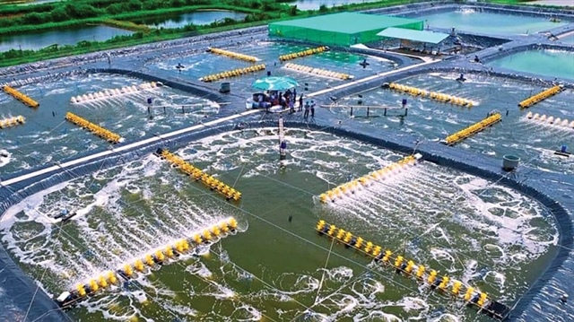 Ca Mau sets out ambitions for comprehensive development