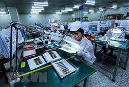 European firms show renewed optimism in Việt Nam