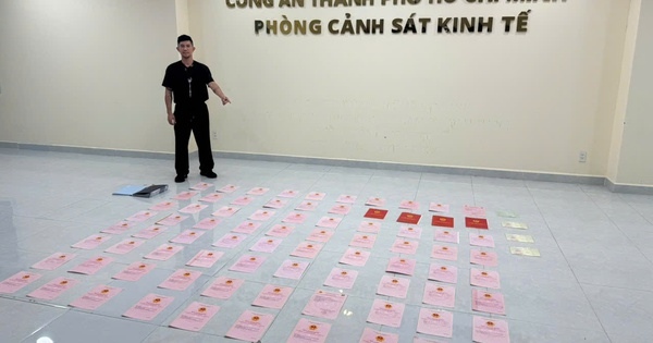80 sổ đỏ và tài sản của Ngân 98 sẽ được xử lý ra sao?