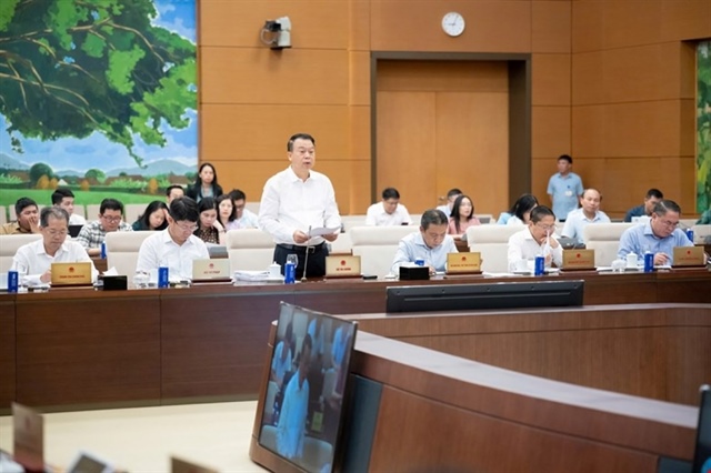 Vietnamese government sets ambitious growth and income targets for 2026