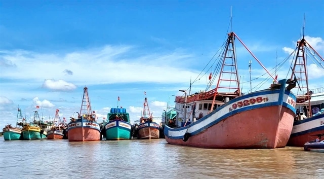 Cà Mau steps up drive to remove European restrictions on fishing