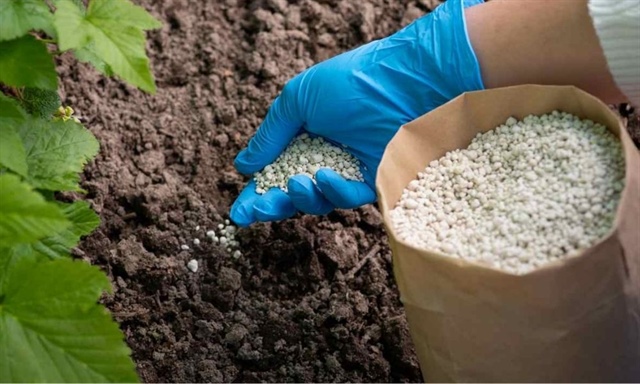 AVG chào bán cổ phiếu tỷ lệ 50%, dành vốn mở chi nhánh TPHCM và trả nợ ngân hàng