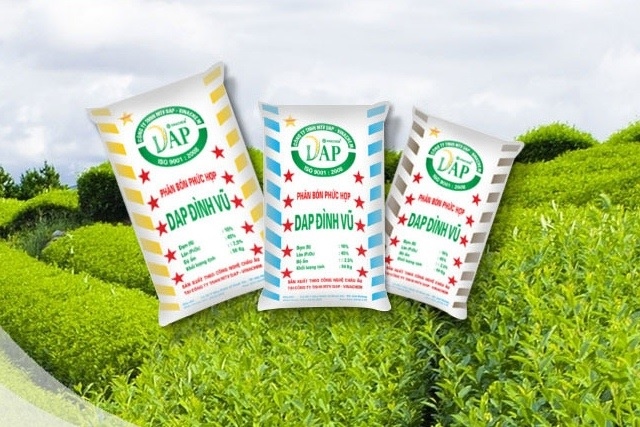 DDV lãi kỷ lục, vượt xa kế hoạch năm