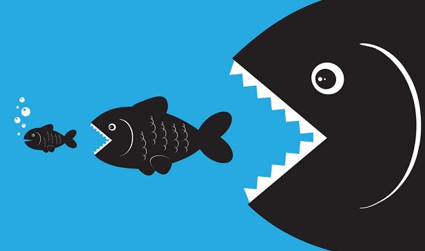 Theo dấu dòng tiền cá mập 20/10: Tự doanh mua ròng ngàn tỷ đồng, khối ngoại vẫn bán mạnh | Vietstock