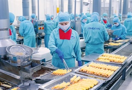 Lợi nhuận hãng tôm Sao Ta tăng trưởng bất chấp thuế đối ứng trên trăm tỷ 