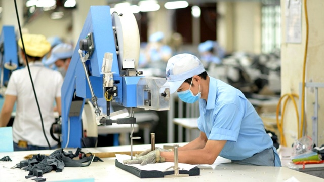 Hòa Thọ đạt đỉnh doanh thu, mang gần 40% tổng tài sản đi gửi ngân hàng