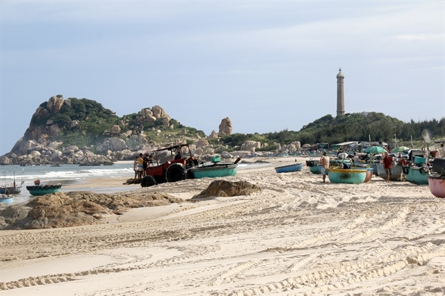 Lâm Đồng seeks to unlock business potential for dynamic economy