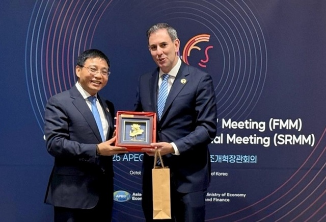 Minister of Finance strengthening Vietnam’s bilateral economic and financial cooperation with international partners