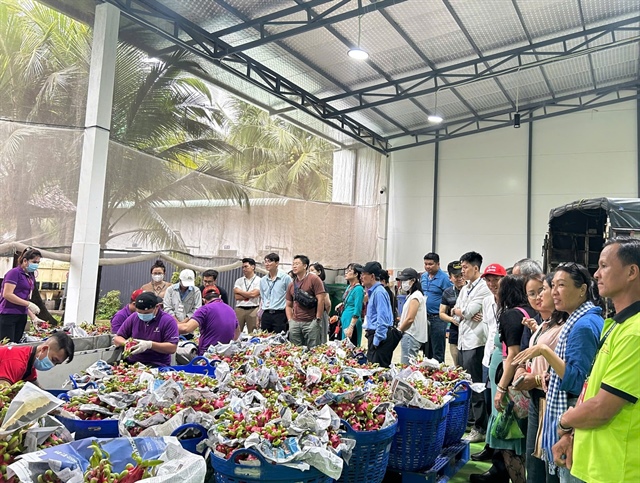 Sustainability standards reshaping Vietnam’s trade landscape