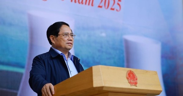 Thủ tướng chỉ đạo sớm hoàn tất đàm phán với Nga, Nhật Bản về xây dựng nhà máy điện hạt nhân | Vietstock